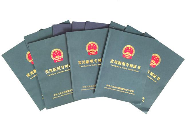 实用新型专利申请(咨询服务)